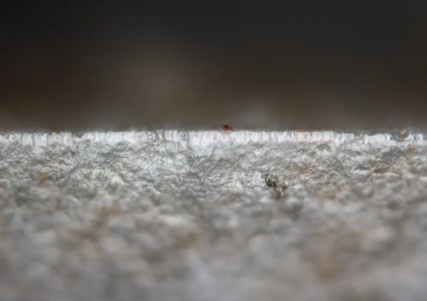 石器に残る痕跡から旧石器時代の生活を紐解く「石器使用痕分析