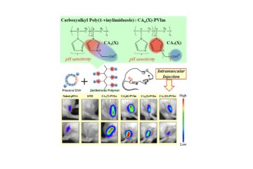 朝山教授の論文がEurekAlert！に掲載されました。