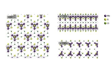 中西助教（元理学部所属）の論文がEurekAlert！に掲載されました。