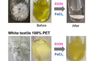 野村教授の論文がEurekAlert！に掲載されました。