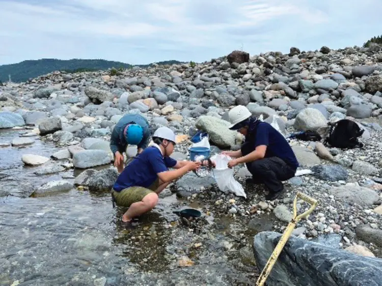 翡翠 ヒスイ 軟玉 筆洗い 筆立て 骨董品 438g 二重筆洗（大型）｜筆洗