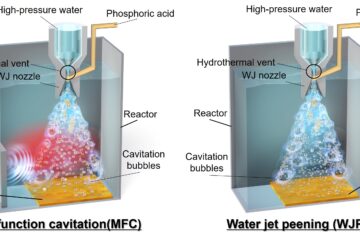 井尻助教の論文がEurekAlert！に掲載されました。
