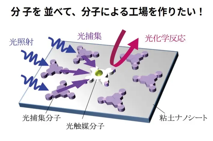 自然のしくみを模倣する。粘土鉱物を用いた人工光合成の研究 | 東京