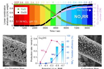 天野教授の論文がEurekAlert!に掲載されました。