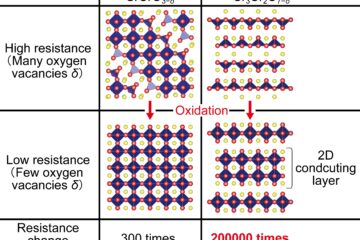 岡准教授の論文がEurekAlert！に掲載されました。