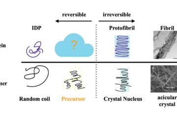 栗田教授の論文がEurekAlert！に掲載されました。