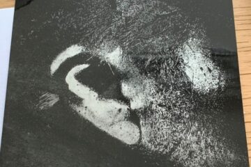 耳紋で犯罪捜査を変える─指紋に続く新たな個人識別技術への挑戦