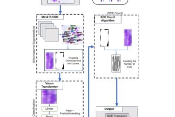 大久保教授、西川教授の論文がEurekAlert!に掲載されました。