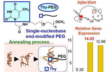 朝山教授の論文がEurekAlert!に掲載されました。