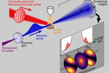 歸家教授の論文がEurekAlert!に掲載されました。