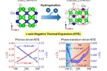 水口准教授の論文がEurekAlert!に掲載されました。